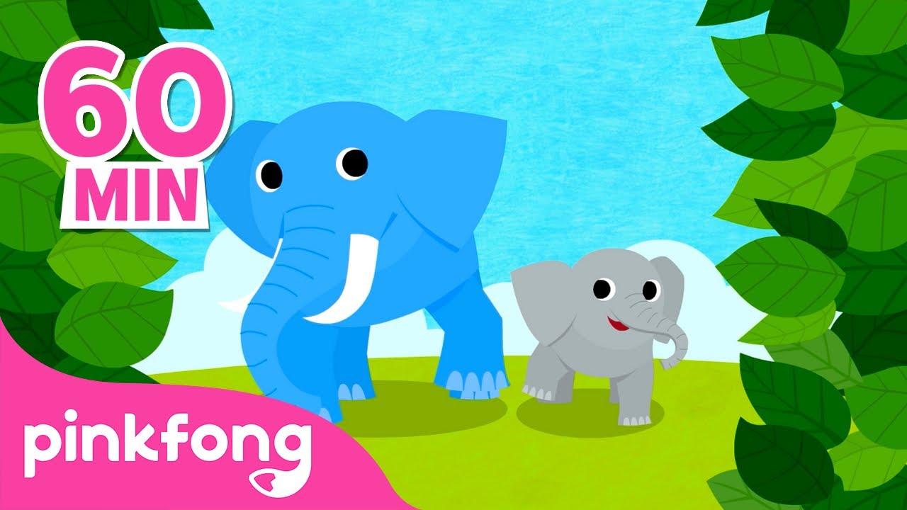 Belajar Nama Binatang! | Gajah dan hewan lain | Lagu Anak Pendidikan | Pinkfong Baby Shark