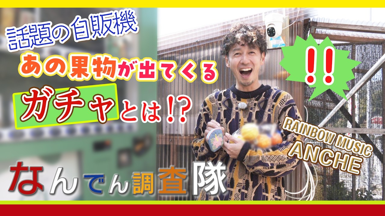 【なんでん調査隊】あの果物がガチャで出てくる自動販売機とは！？