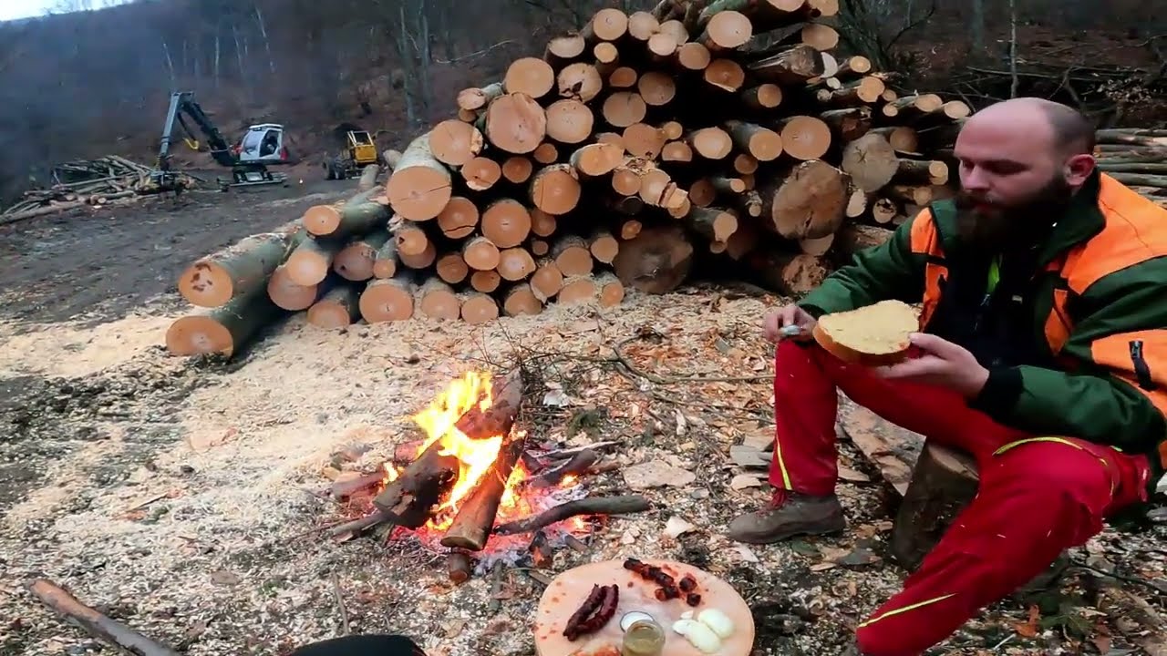 Prvá opekačka v práci 🙂 a nejaký ten nadčas navyše. Pásový harvestor Neuson 11002HV robí zameškané.