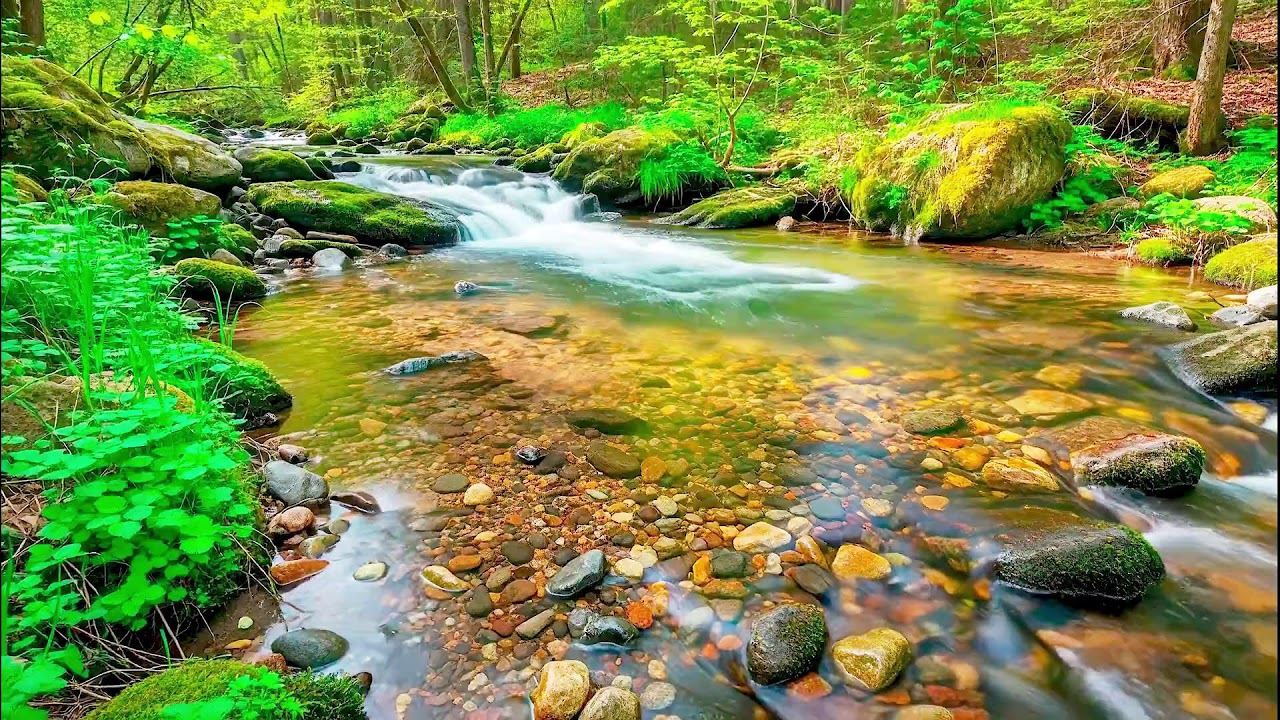 Peaceful River Sound for Deep Sleep | Natural Therapy for Better Wellness and Health