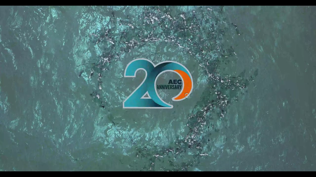Algerian Energy Company   - الشركة الجزائرية للطاقة  ( version FR )