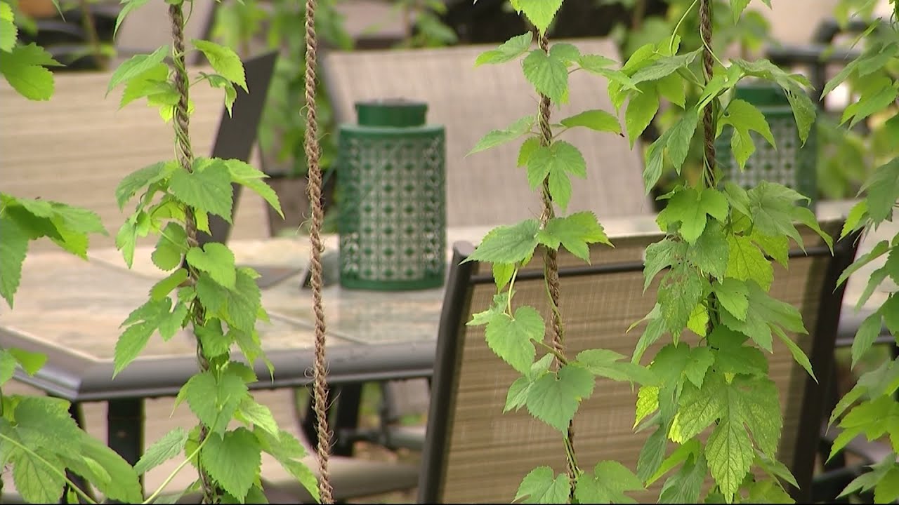 East End: Jamesport Farm Brewery