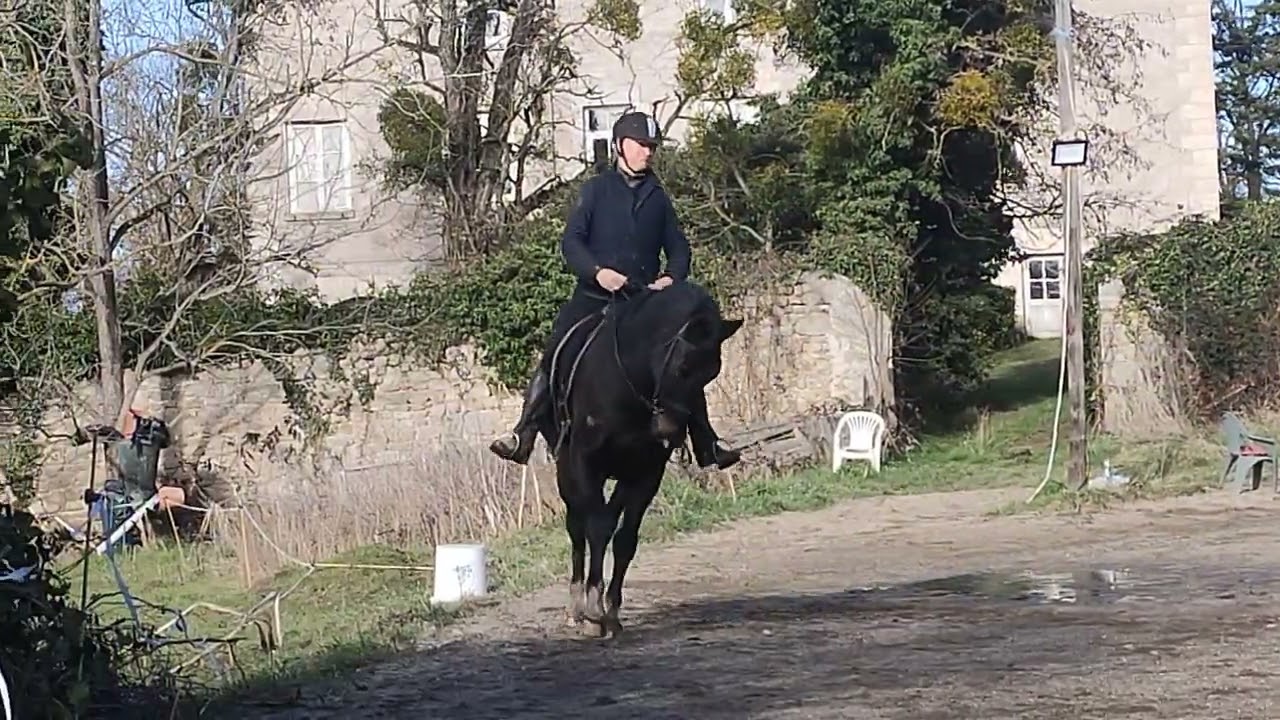 29 janvier 26