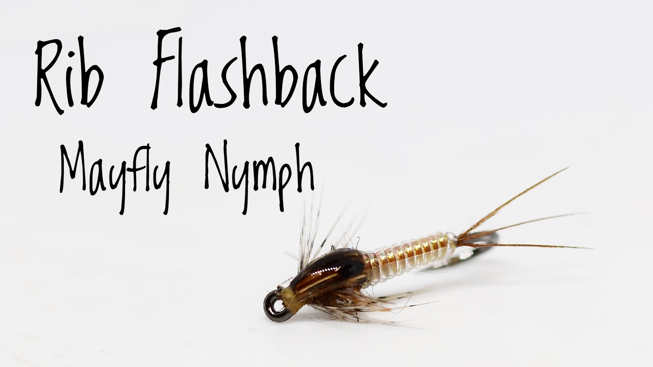Rib Flashback Mayfly Nymph - Nymph Fly Pattern