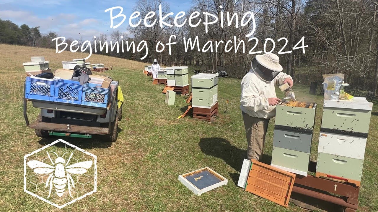 Beekeeping 24-04 - Beginning March 2024