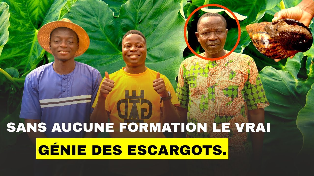 Sans aucune formation, le vrai génie des escargots.