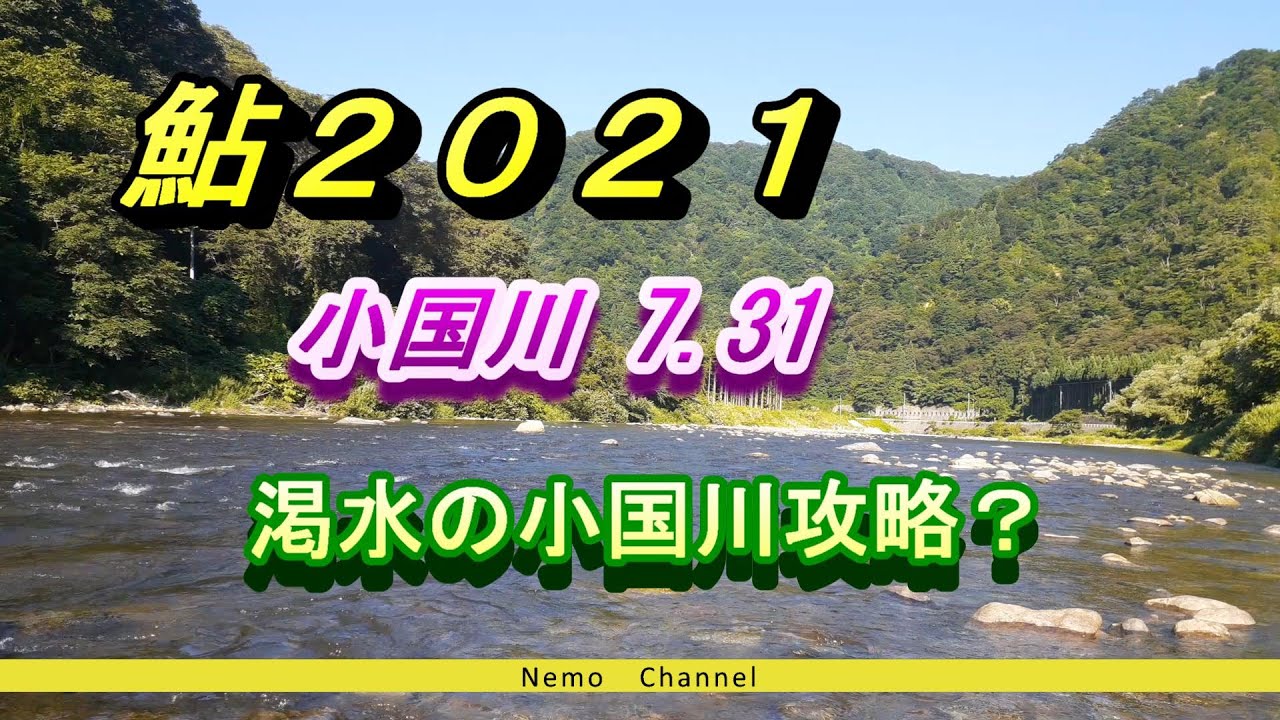 鮎2021小国川0801