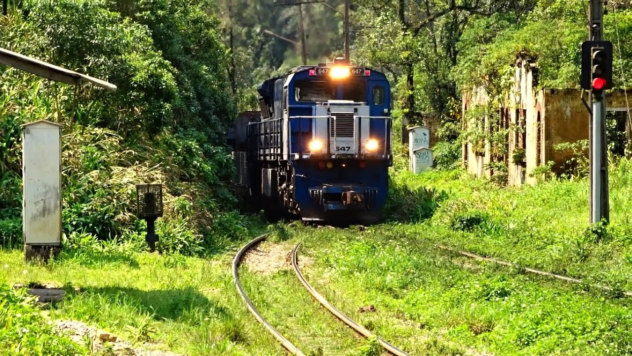 Trens na Serra do Mar, PR   2021