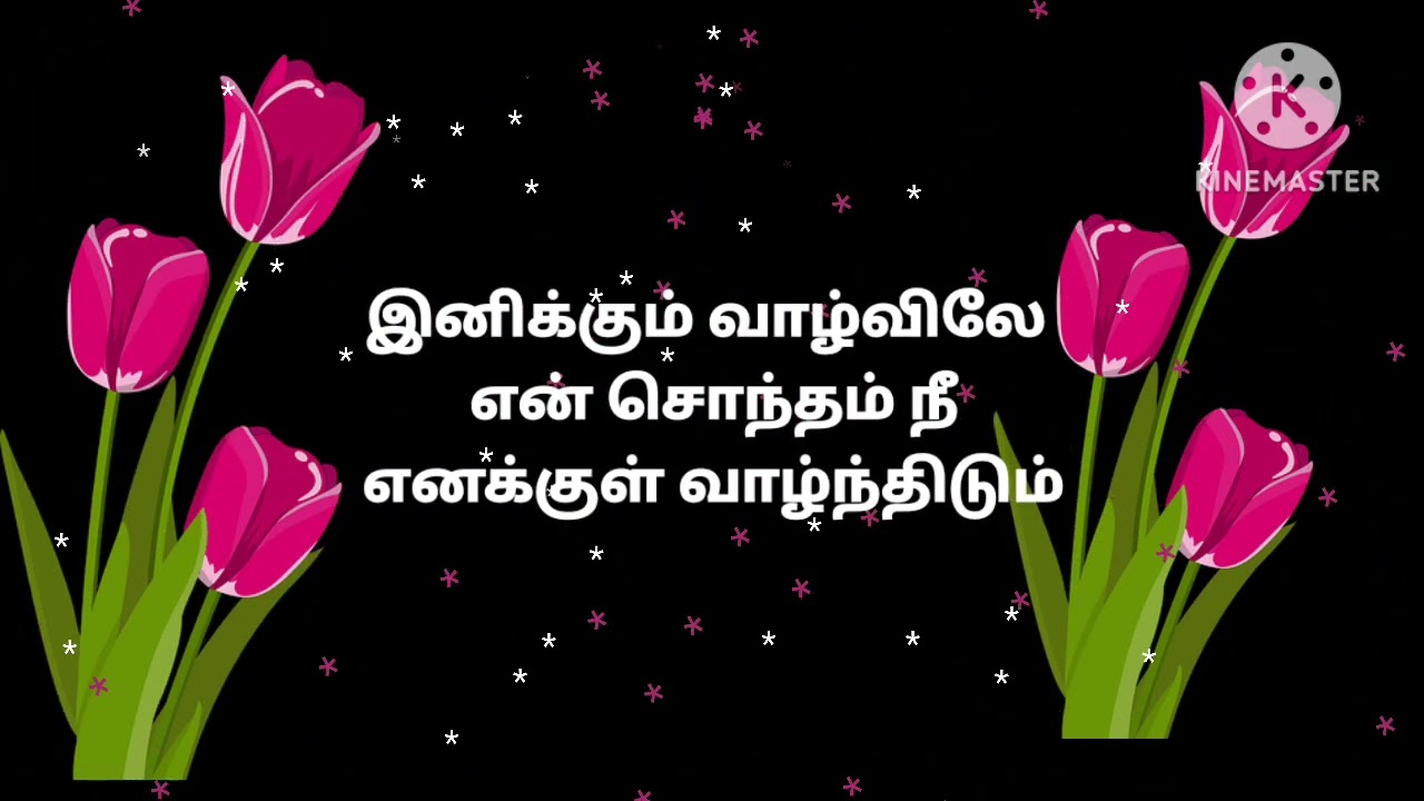 Azhiyaatha kolangal Poo vannam pola nenjam Tamil song lyrics