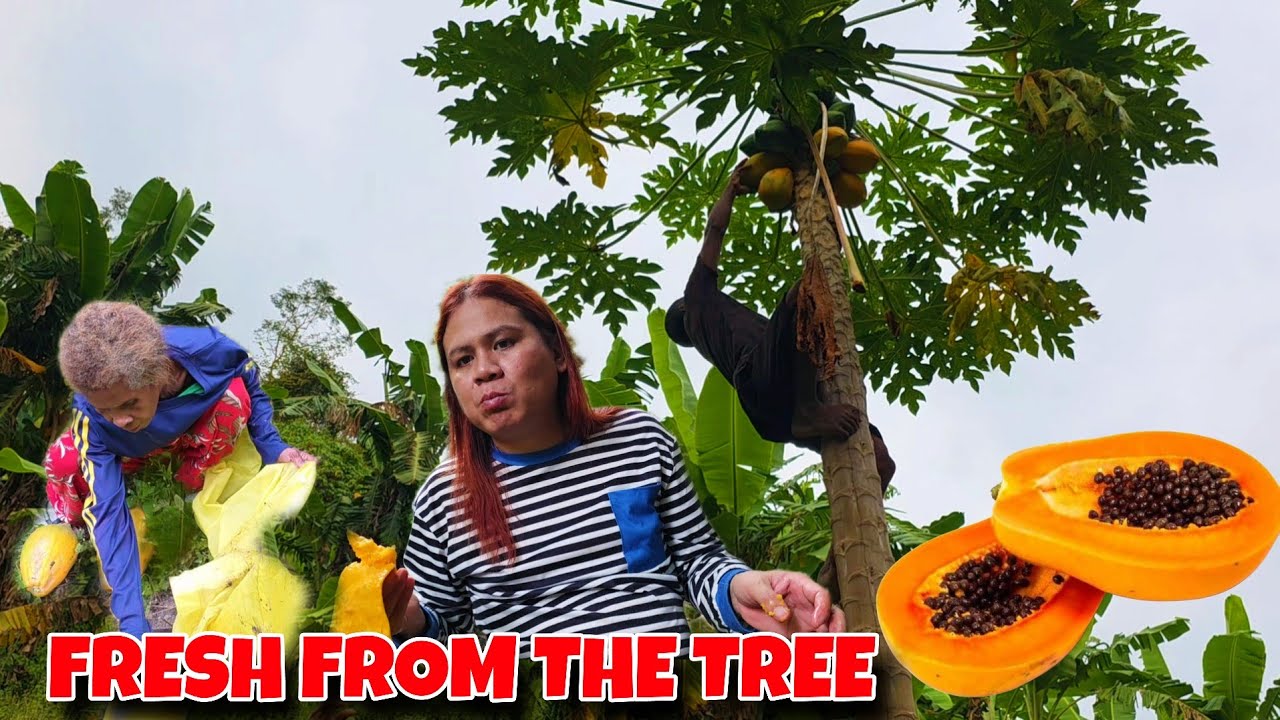 EP477 LALAKI SA GITNA NG GUBAT KINAKATAKUTAN NG IBANG TAO PERO MABAIT PALA??!!