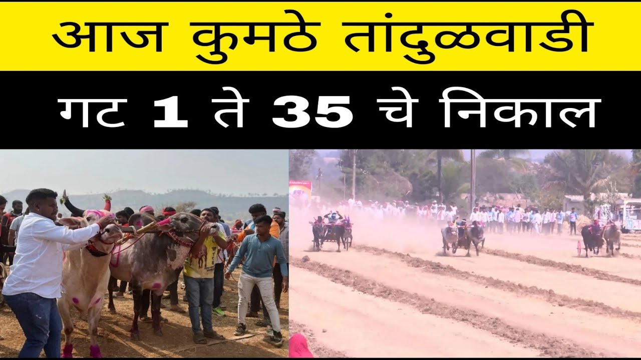 आज तांदुळवाडी येथील गट 1 ते 20 आणि कुमठे नागाचे येथील गट 1 ते 15 मधून कोणते बैल सेमीसाठी पात्र झाले 