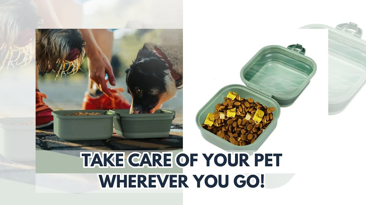 Folding Pet Bowls