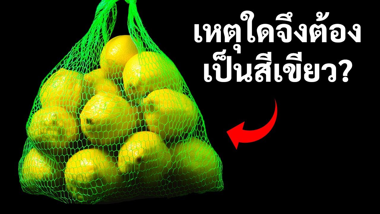 101+ ข้อเท็จจริงที่จะทำให้คุณกลายเป็นบุคคลที่น่าสนใจที่สุดในห้อง