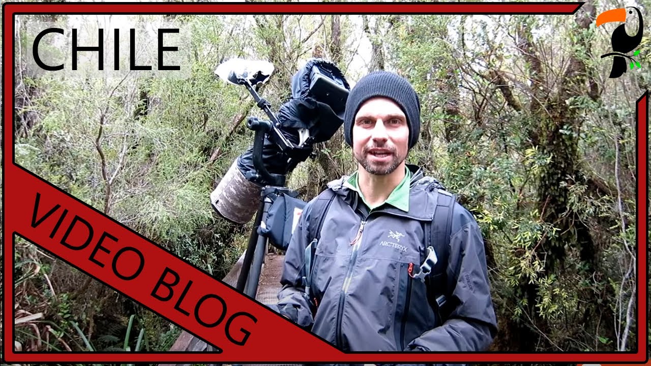 Video Blog - 3 Weeks in Chile and Patagonia