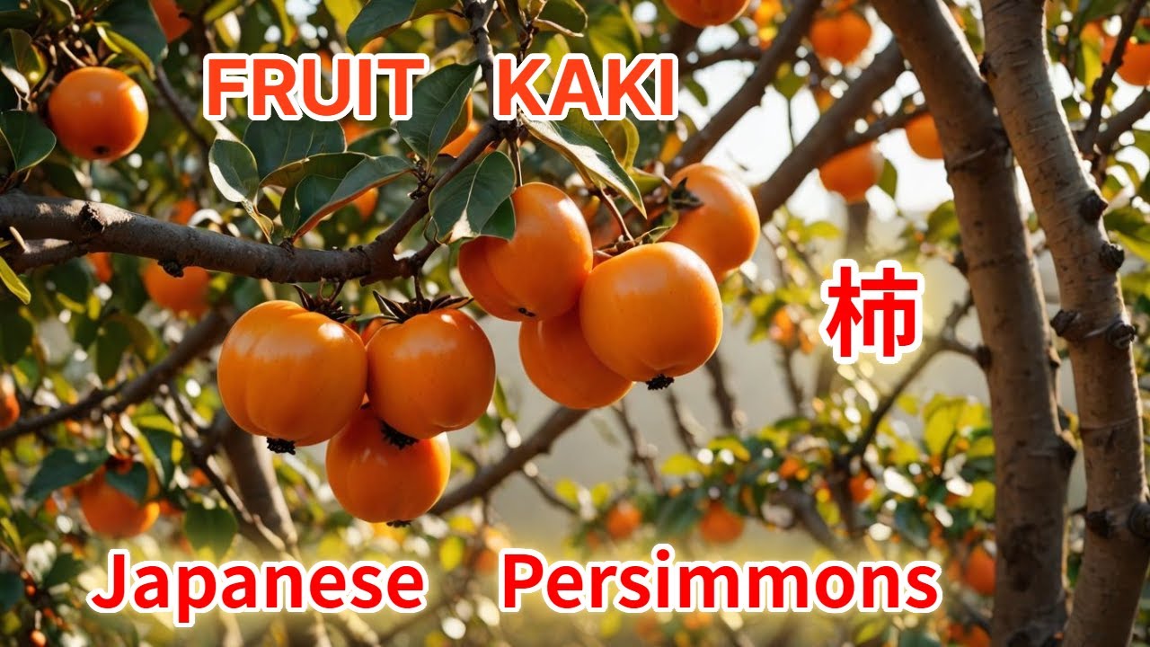 How to Peel a Persimmon: Step-by-Step Guide