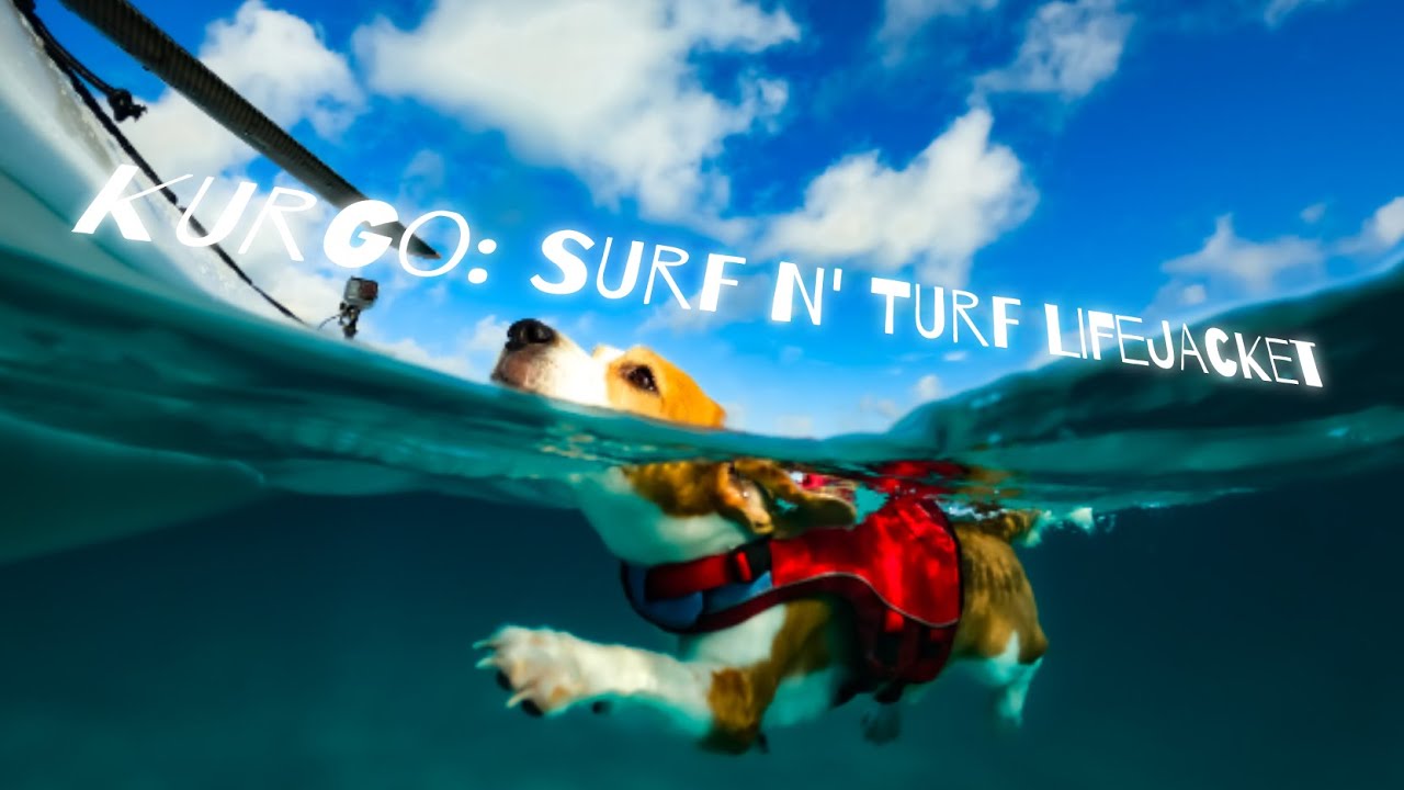 KURGO SURF N' TURF: CHALECO SALVAVIDAS PARA PERROS