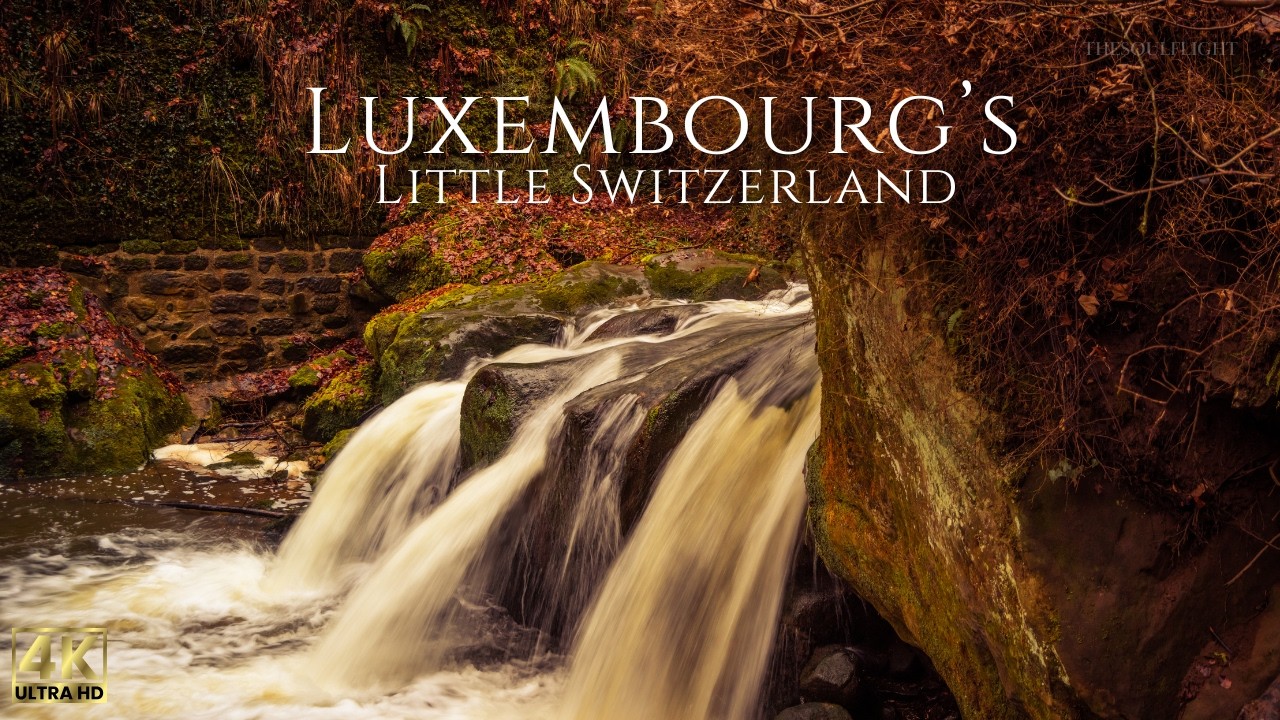 15 Minutes of Winter Forest Calm | Cinematic Drone Nature in Mullerthal