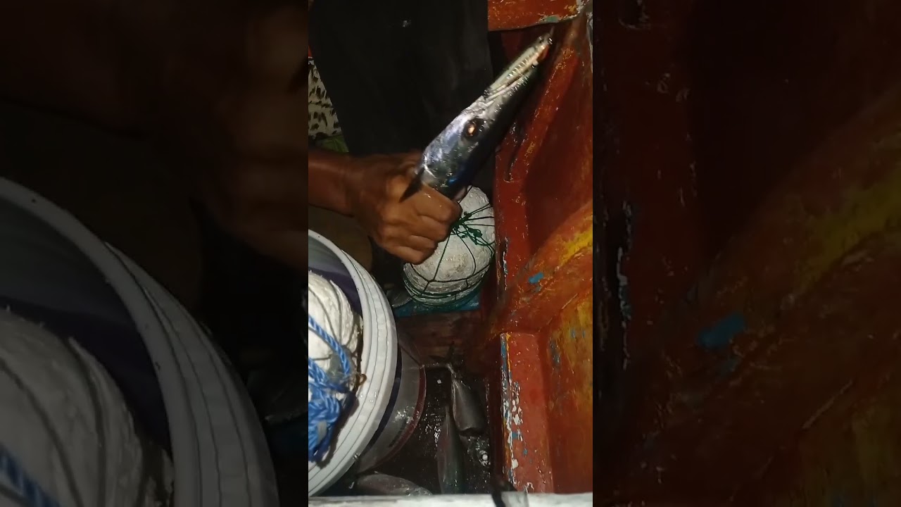 night fishing #fishing #pinoyfishing