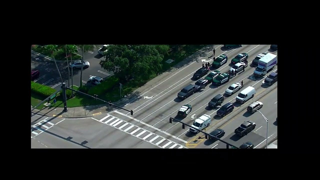Air Support Unit Tracks Suspect Until Epic Police Takedown