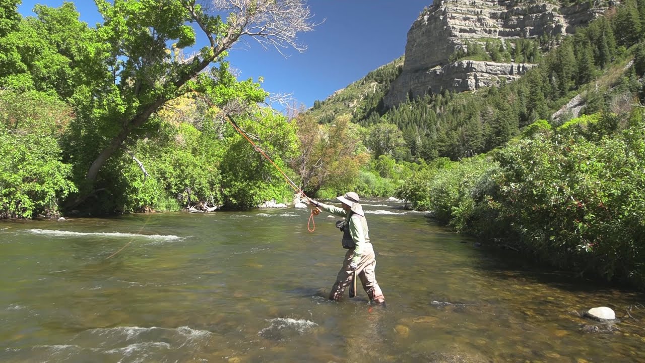 Fishing Utah's Provo River, the lower section