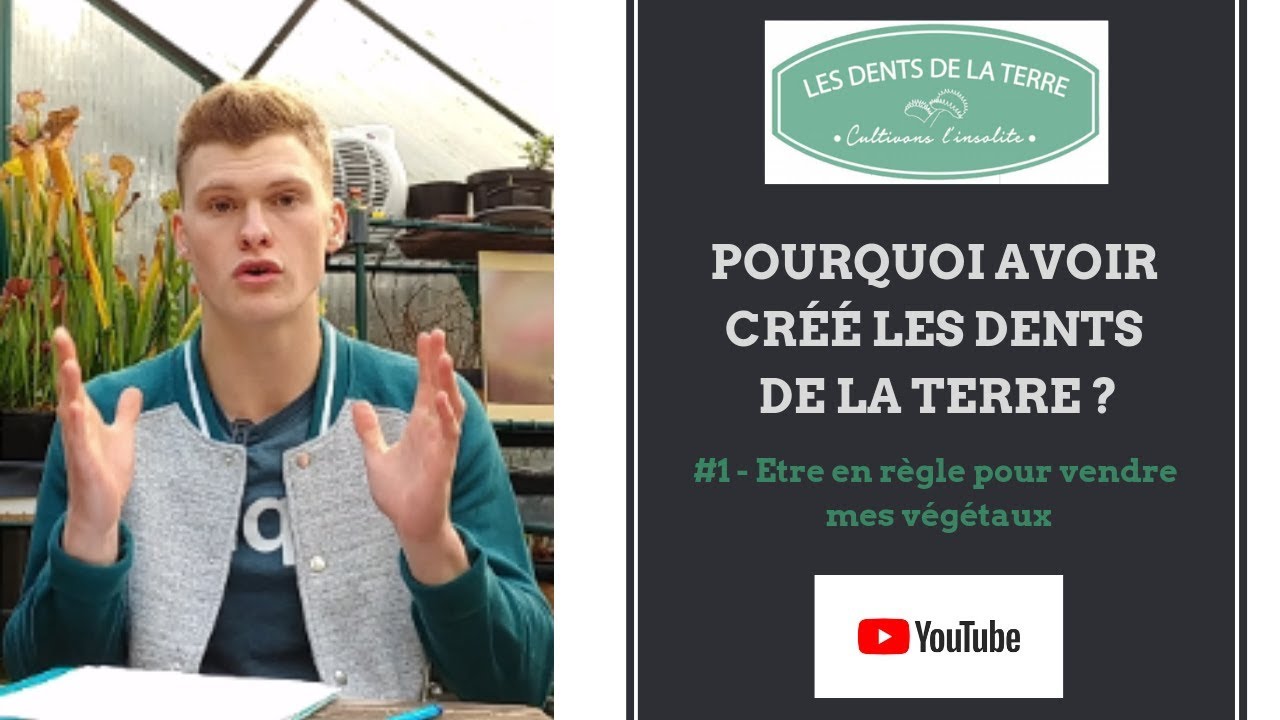 Mes premières ventes de Plantes Carnivores 💶