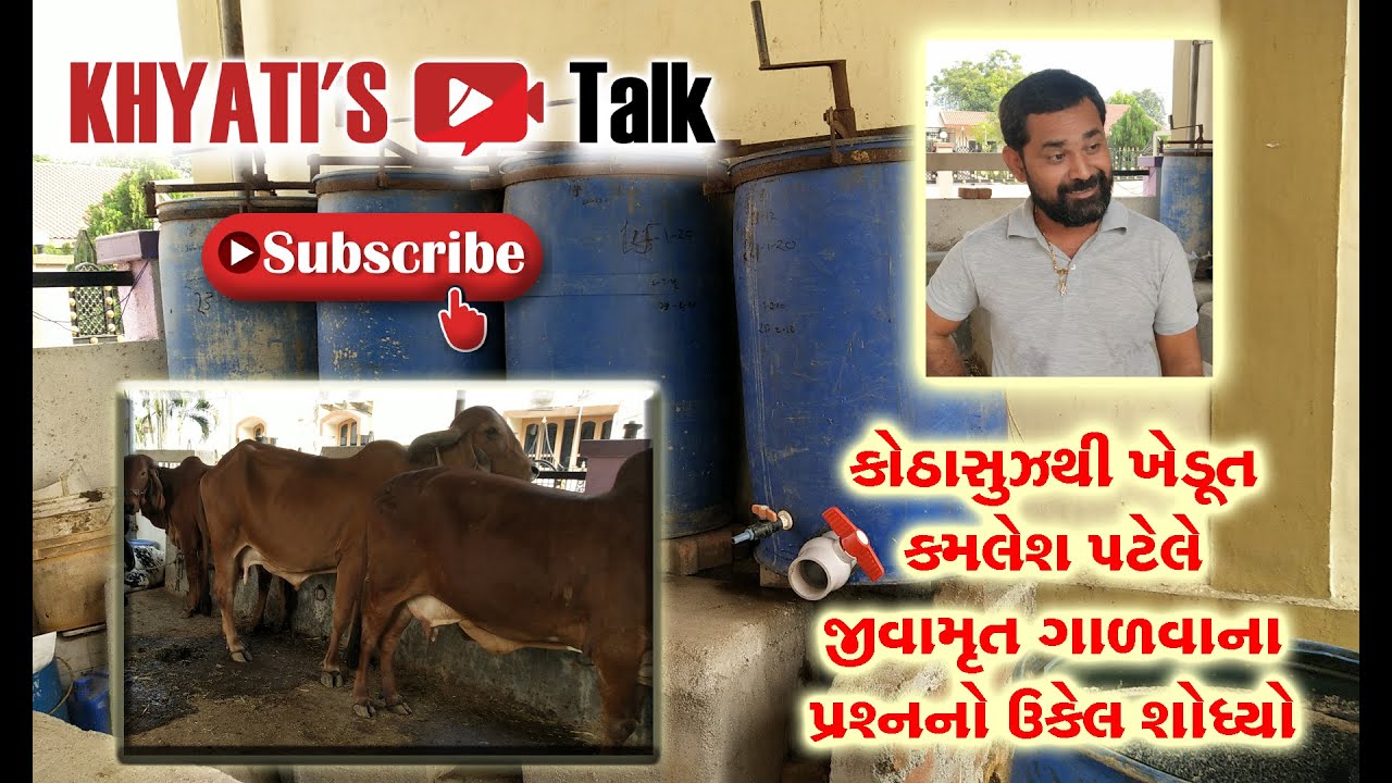 SPNF | Cow Based Farming | જીવામૃત | ગાળવાની પદ્ધતિ | ખેડૂત કમલેશ પટેલ | गाय आधारित कृषि | जीवामृत