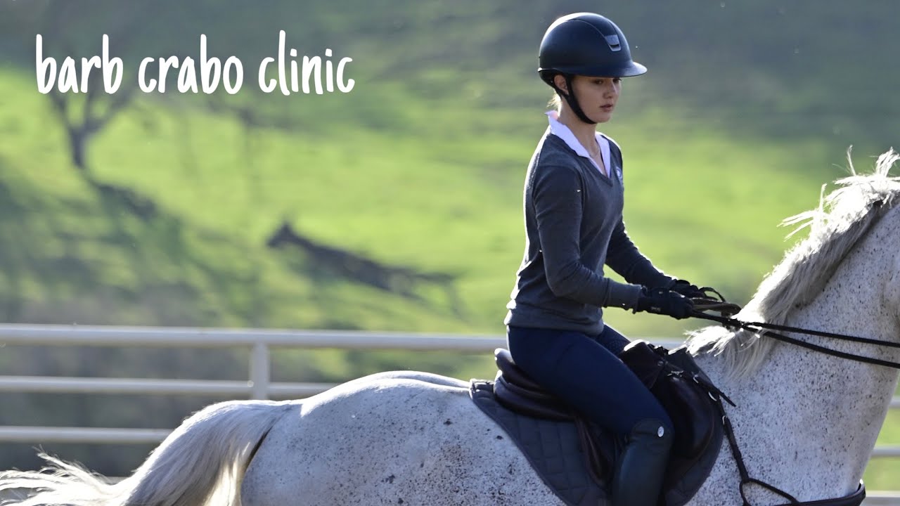 farewell eventing ep. 2 | barb crabo clinic!