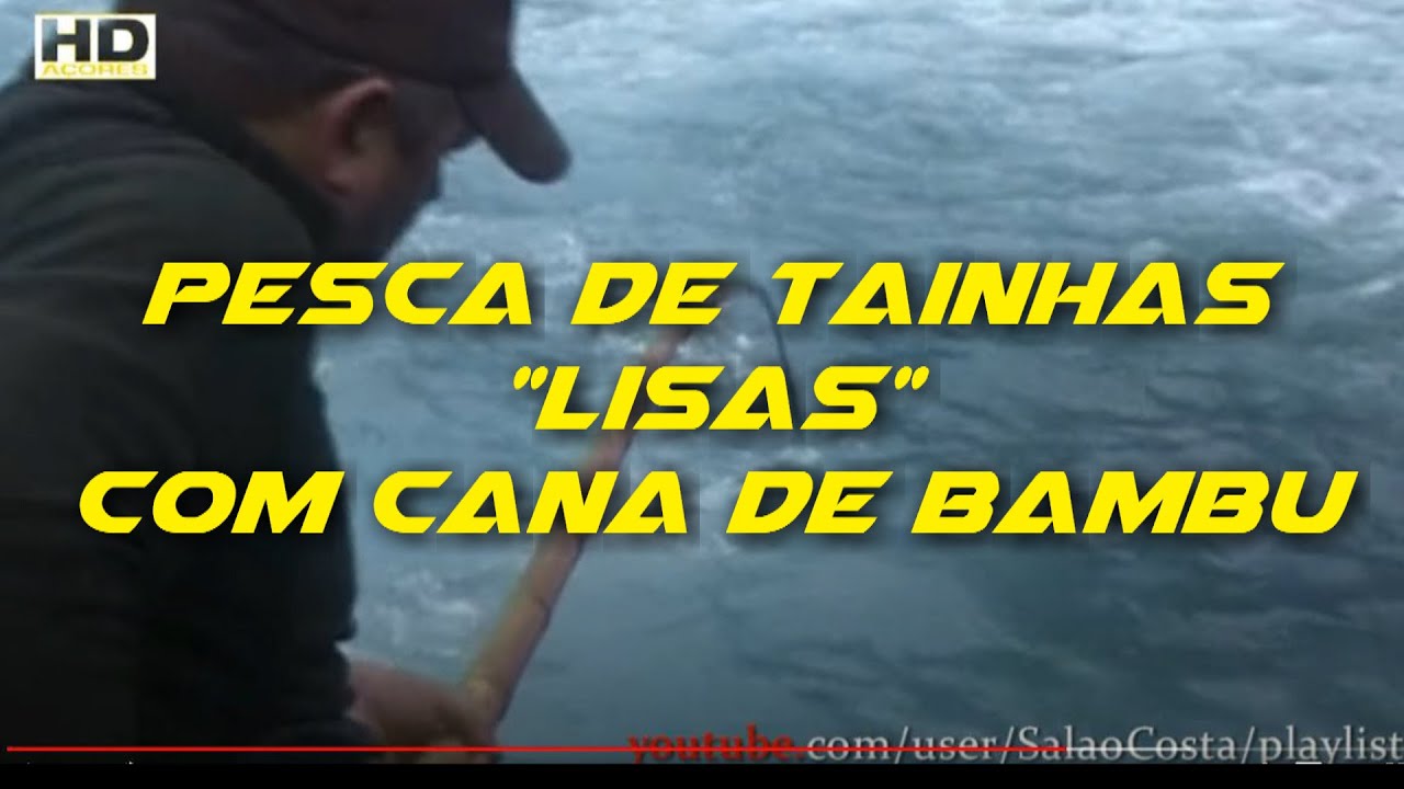 Pesca de Tainhas(Lisas) com Cana de Bambu com a vareta corno de cabra.HD