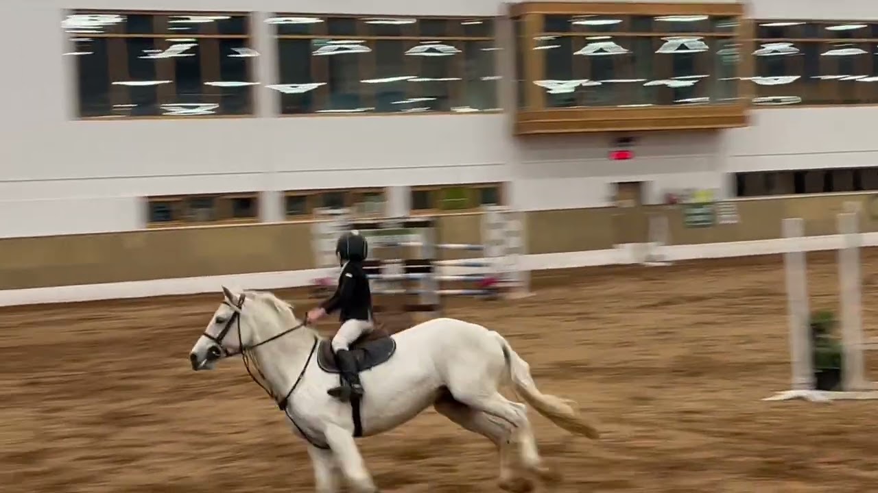 Tim & Brackhowney Silver- 148 1.10 TRI Autumn Tour- 1st Coleraine