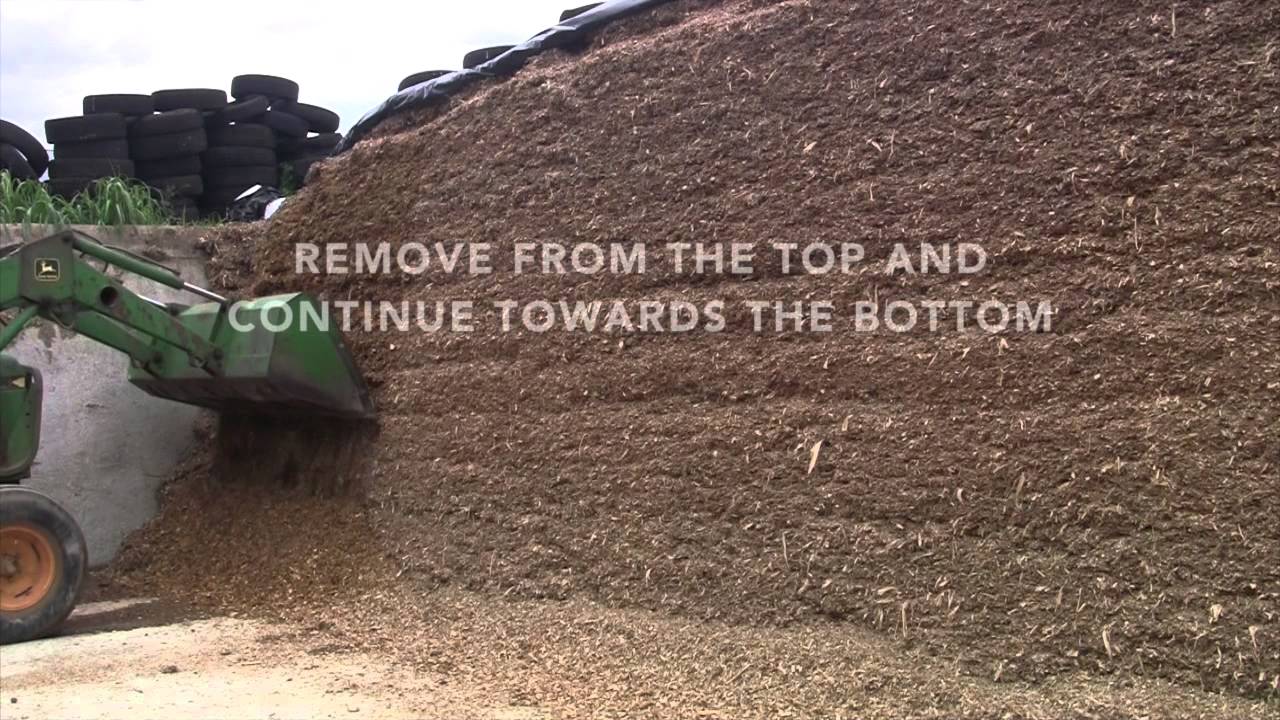 Silo Face Management