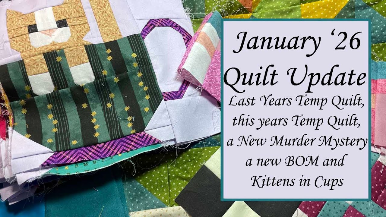 Quilt Update | January 2026 | I May Have Too Many Projects