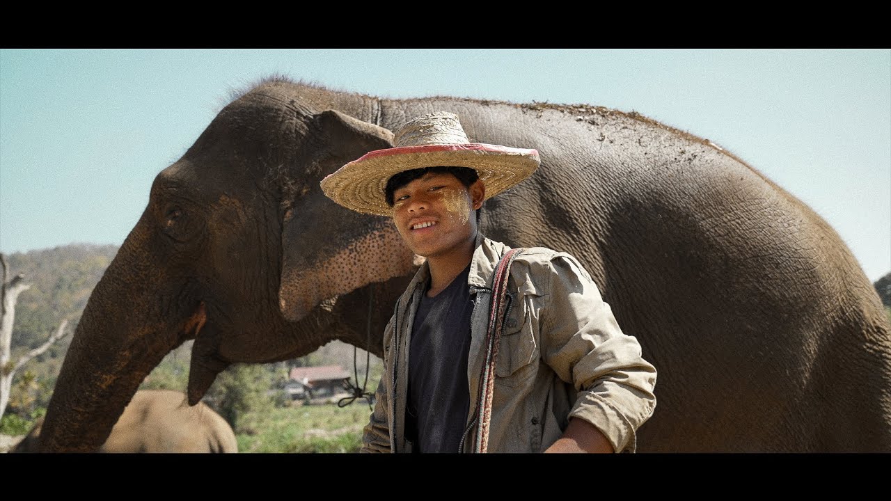 RAN-TONG ELEPHANT SANCTUARY | Promo Video