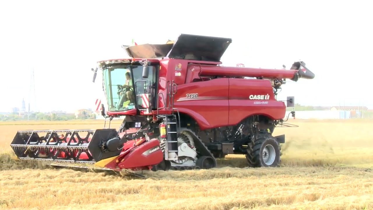 Axial-Flow 7150 Caseih raccolta riso 2021