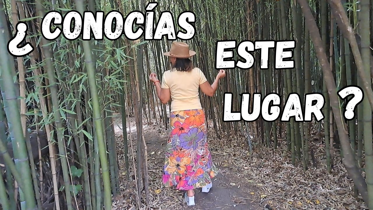 DESCUBRIMOS UN PARA&Iacute;SO !!
