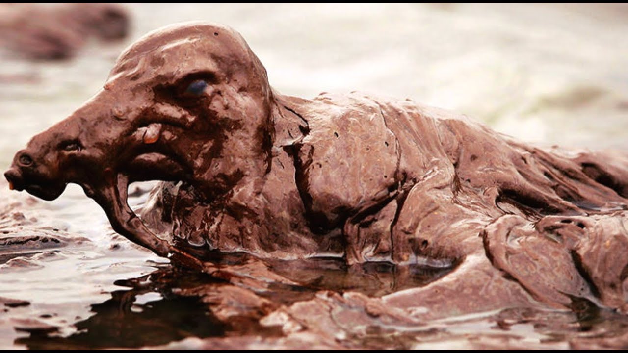 BP Oil Spill STILL Having Damaging Effect on Wildlife