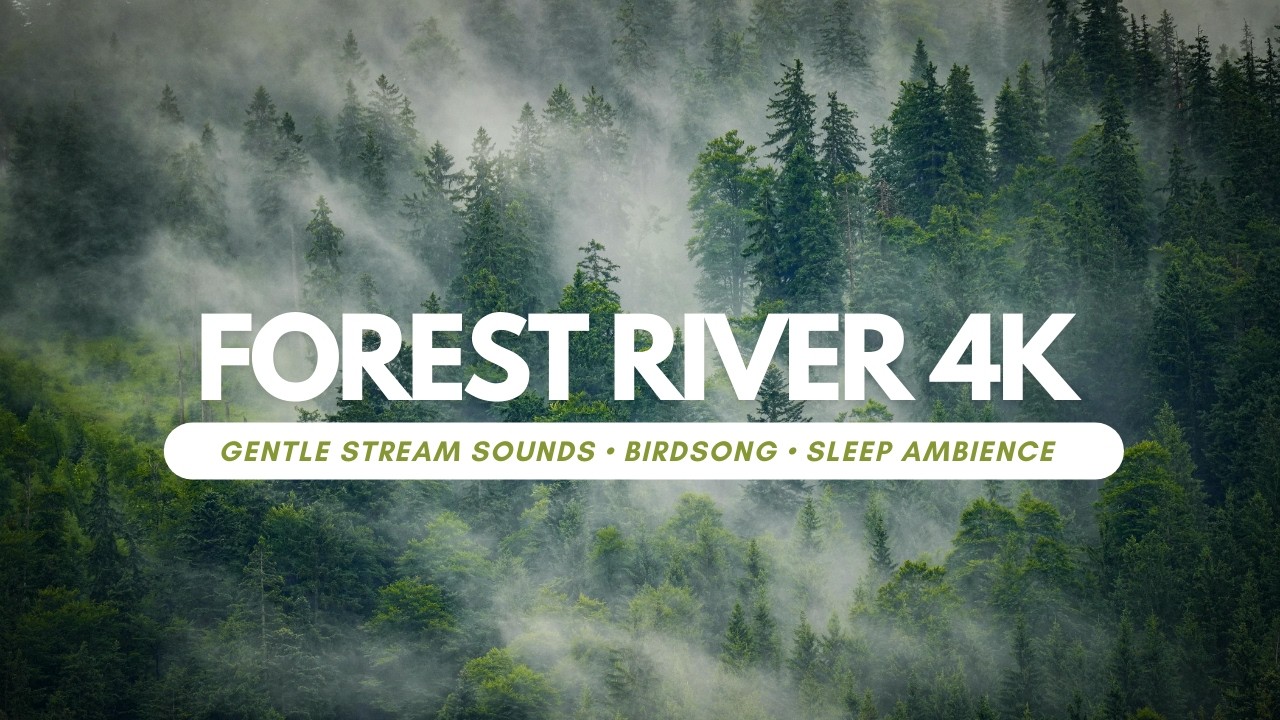 A Quiet Forest River at Dawn | Gentle Stream Sounds • Birdsong • Sleep Ambience (4K)