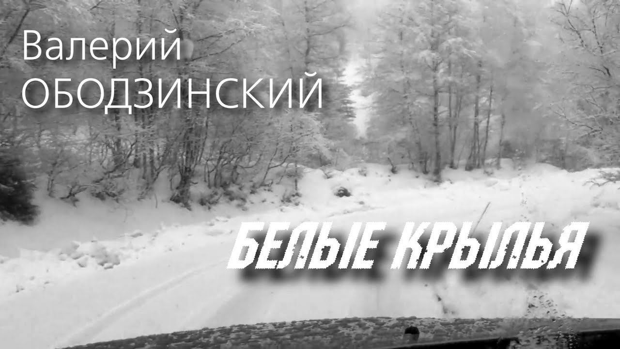 Зимняя дорога Норвегии / Vintervei i Norge (Валерий ОБОДЗИНСКИЙ - Белые крылья) / N-stудия