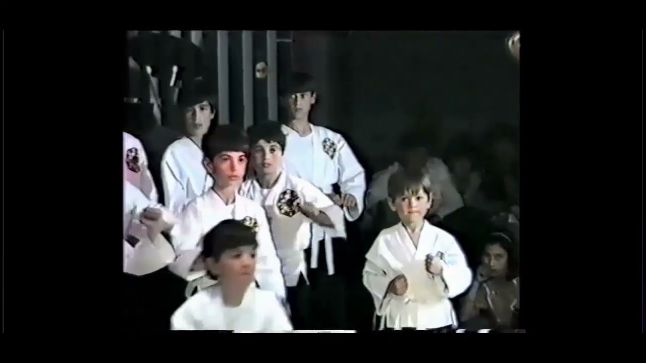 Wu shu kwan kung fu by Sonic lee the story of Wu Shu Kwan Kung Fu part 3