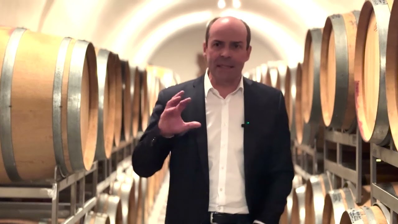 From Vineyard to Cellar: How Wine Regions Are Adapting to Climate Change - Stakeholder Visit Part 2