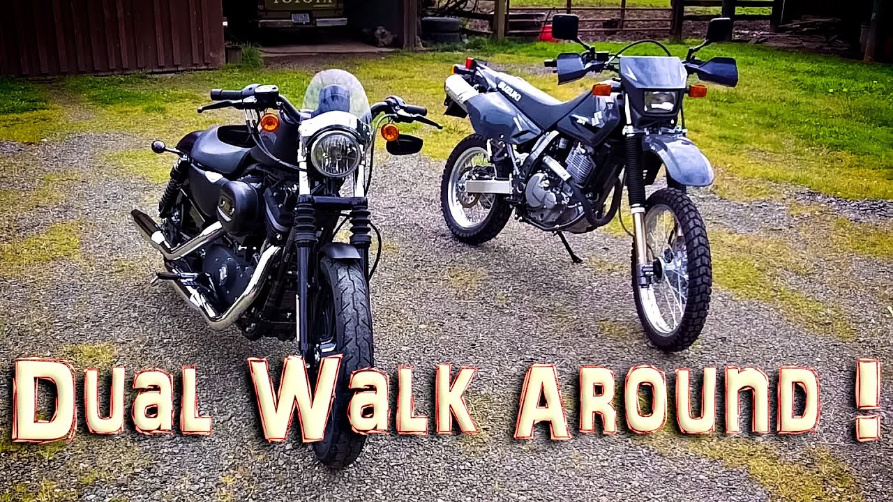 Dual Walk Around! - DR650SE & Iron 883!  | ShopTalk
