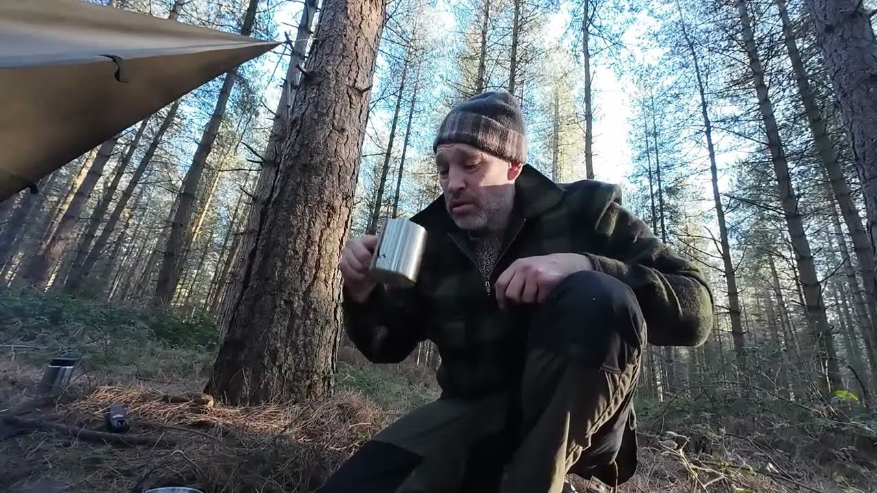 A day in the forest