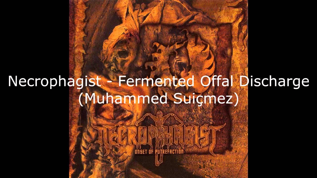 Awesome Metal Bass Solos