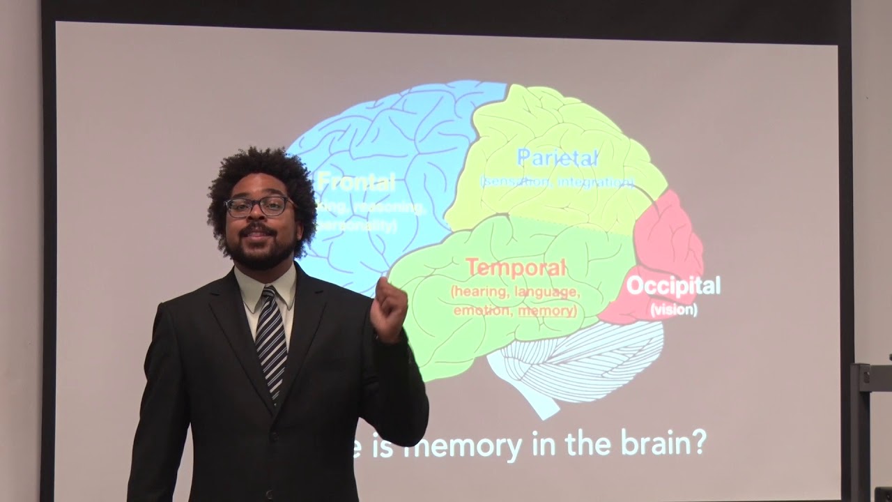 Senior Center Presentation   The Brain, Aging & Memory Loss
