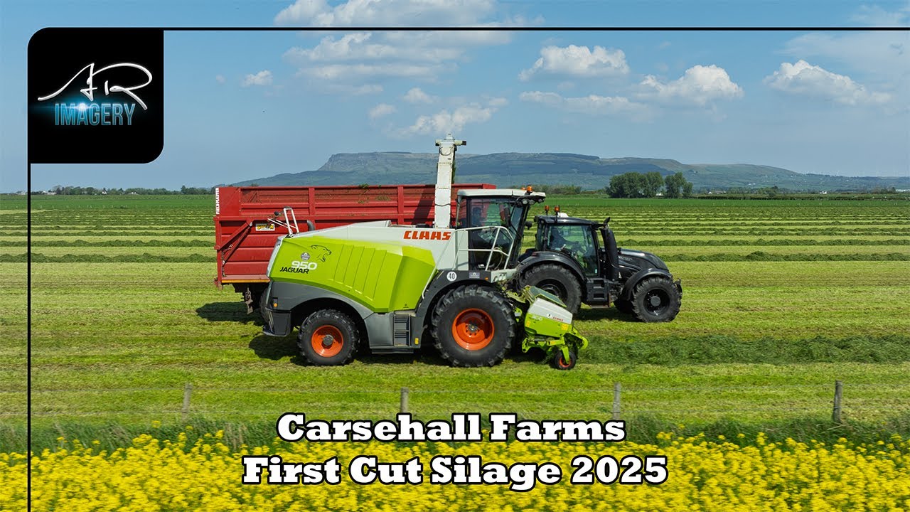 Carsehall Farms - First Cut Silage 2025
