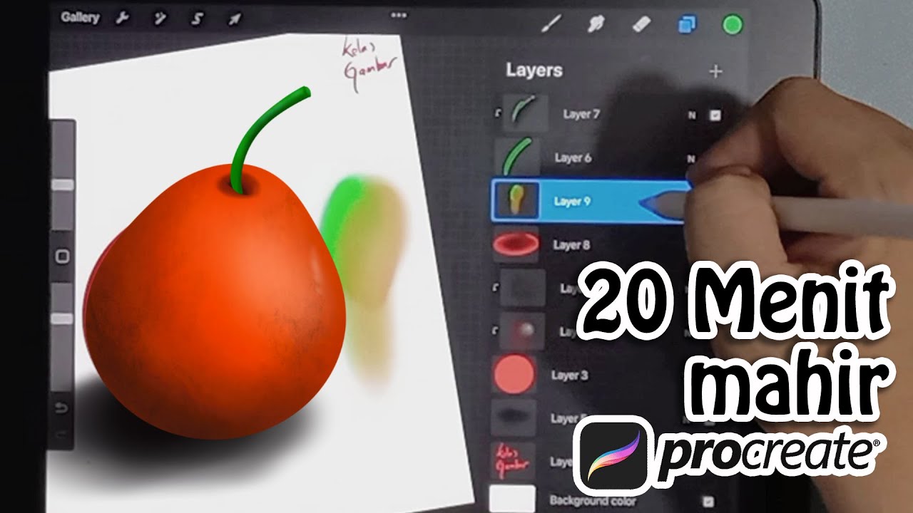 Panduan dasar Procreate untuk pemula bisa langsung mahir