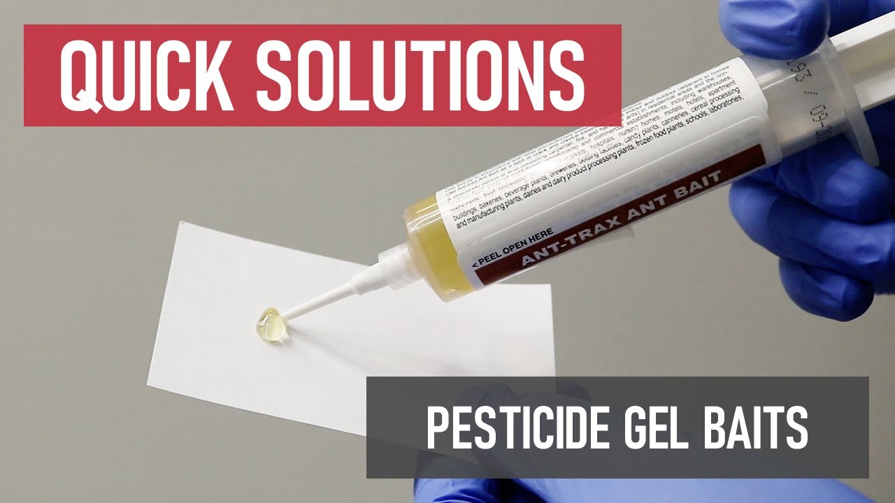 Quick Solutions: How to Use Pesticide Gel Baits