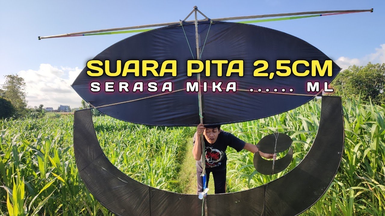 Suara sendaren pita kado 2,5cm Serasa Mika di pentangan 410cm