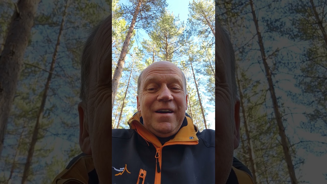 Vilken folkk&auml;r artist har dessa fina rader i en av sina melodier. Mvh Joakim Bj&ouml;rkman