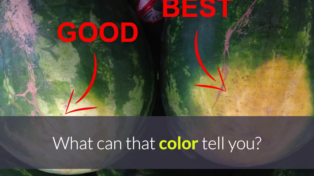 How To Pick The Perfect Watermelon For Health