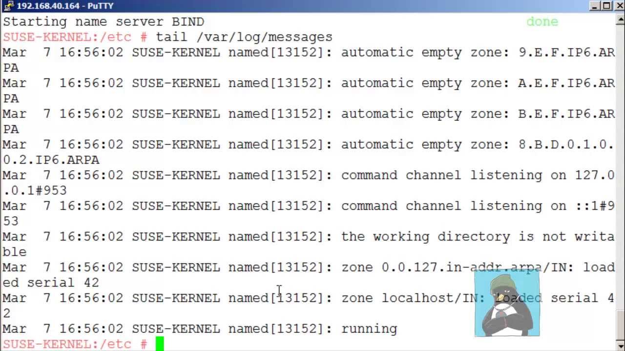 LPIC 2 202 Basic DNS Server setup